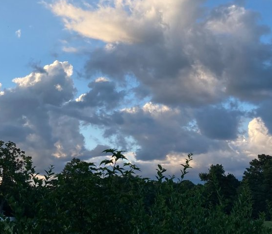 David Buffalo [301km]